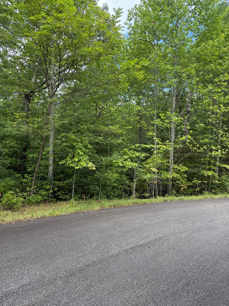 Lot 44 Three Springs Lot 44