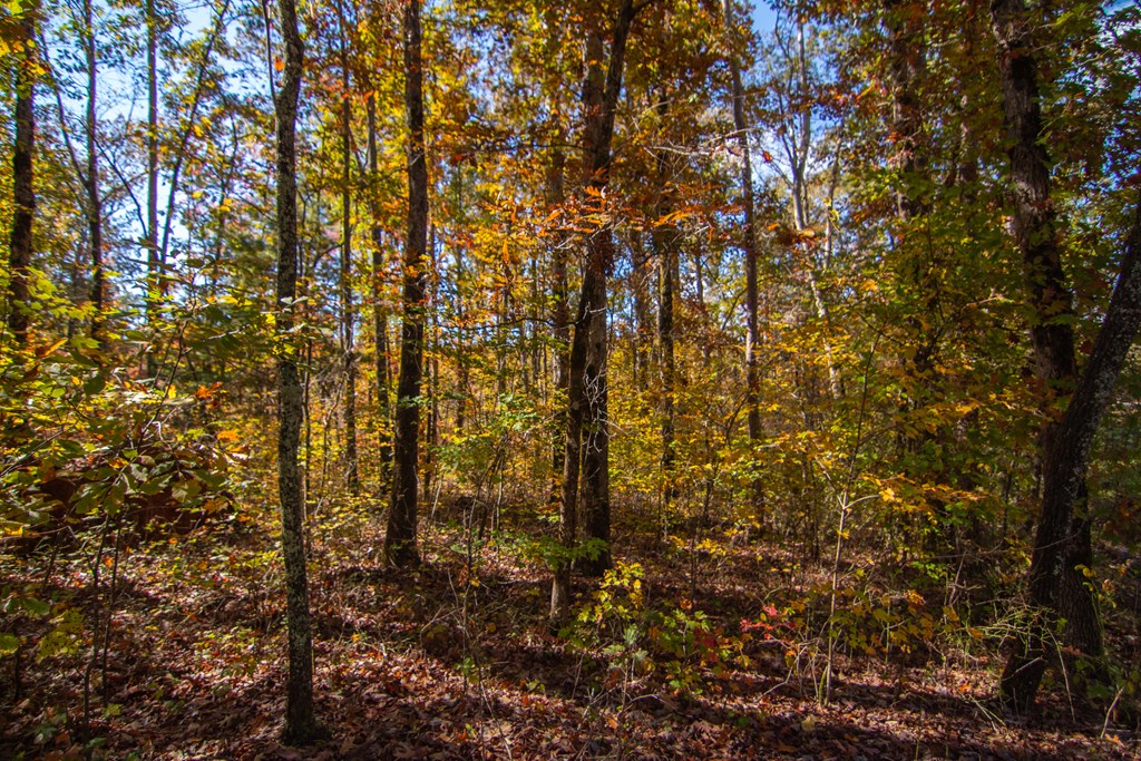 Lot 24 Ridgeway Church Road