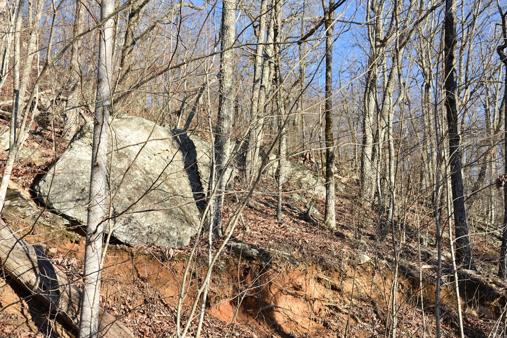 Lot #53 Highland Trace