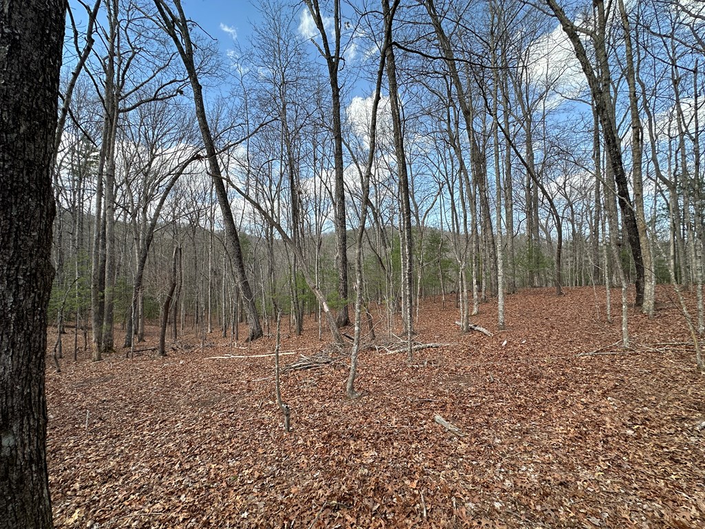 Lot 19 Black Oak Road