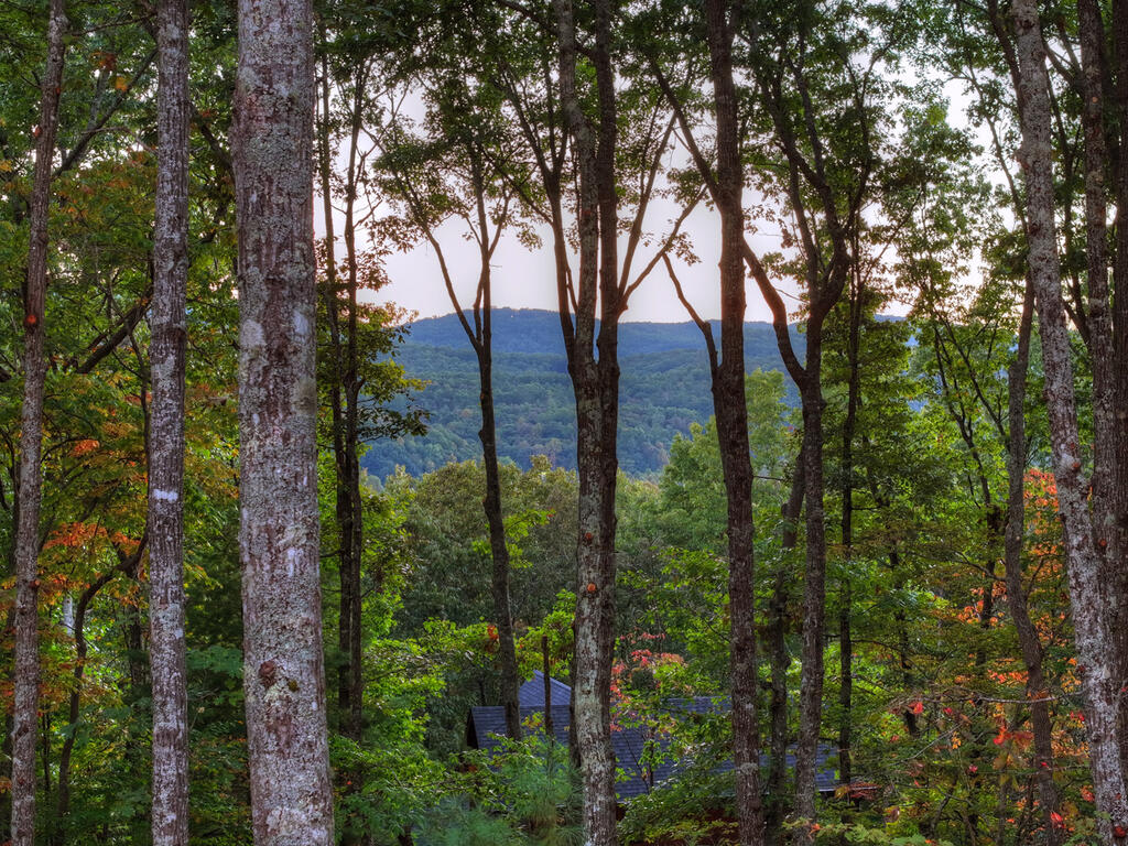 357 Spring Ridge Trail