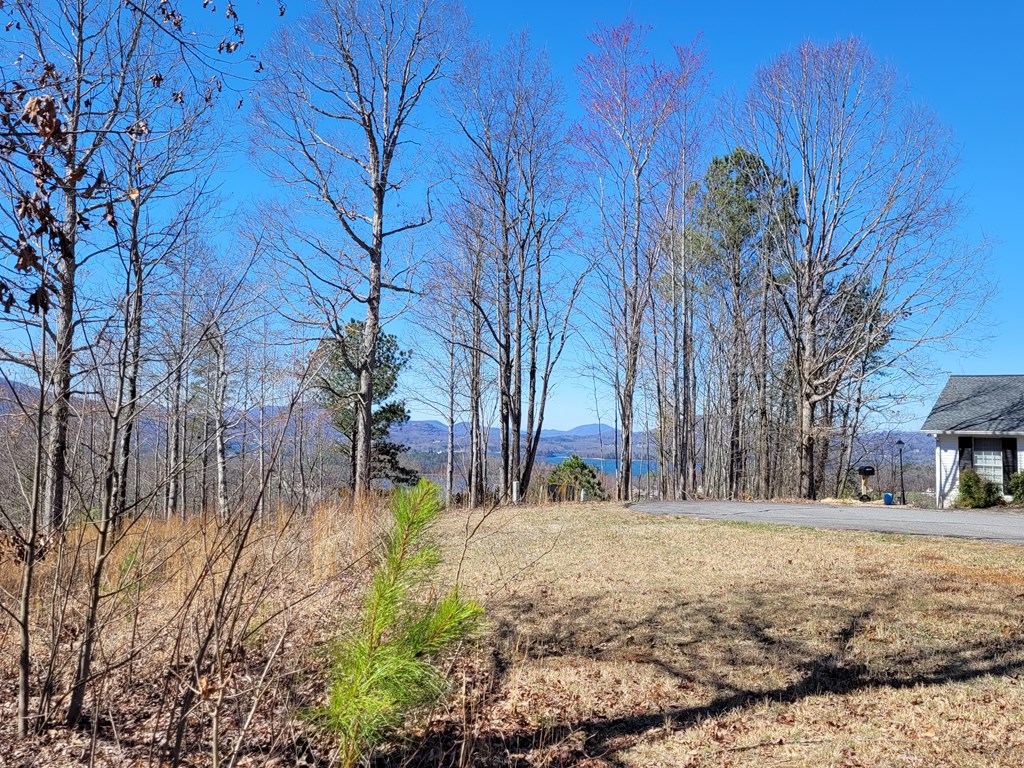 Lot 25 Dan Knob Drive