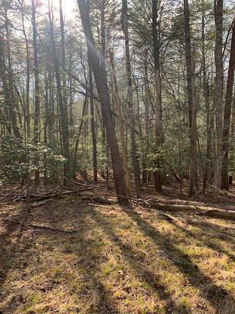 Lot 12 Mountain Creek Road
