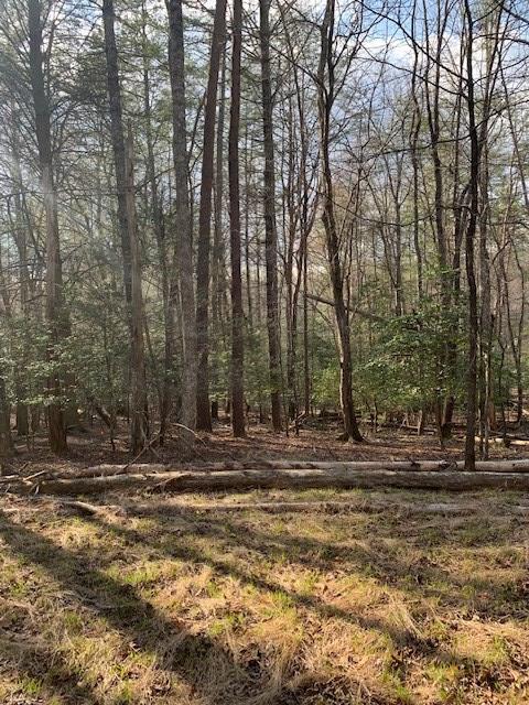 Lot 12 Mountain Creek Road