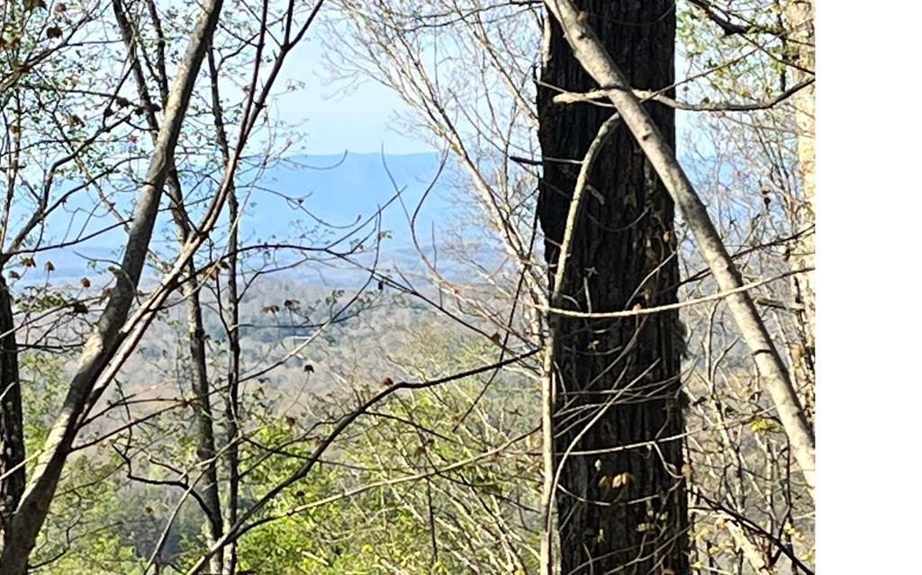 lot 118 Croft Mountain Road