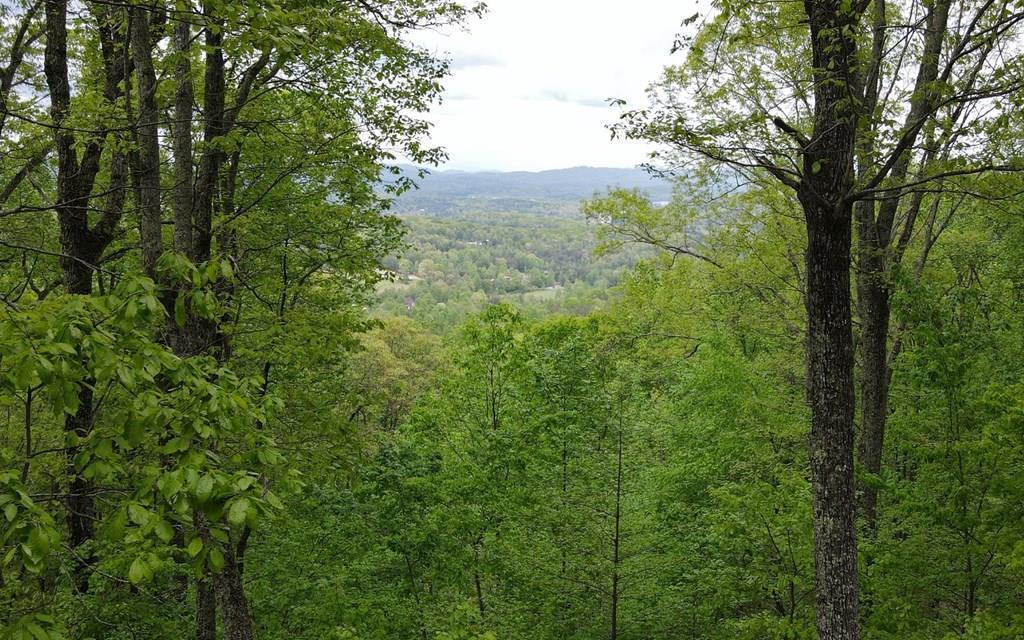 lot 118 Croft Mountain Road