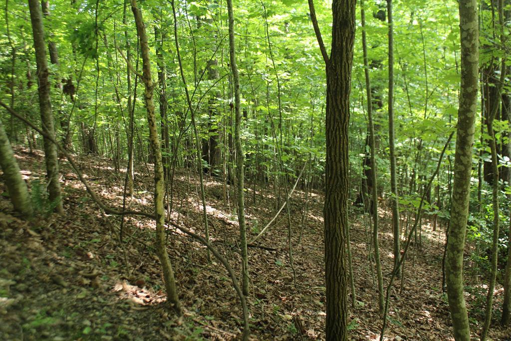 Lot 20 Skid Strip Lane