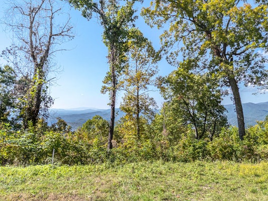 LOT 34 WOLF KNOB SMT, MURPHY, NC 28906 - Image b63fe2ac72ac989d8e75ce7d9943da49/1567891540