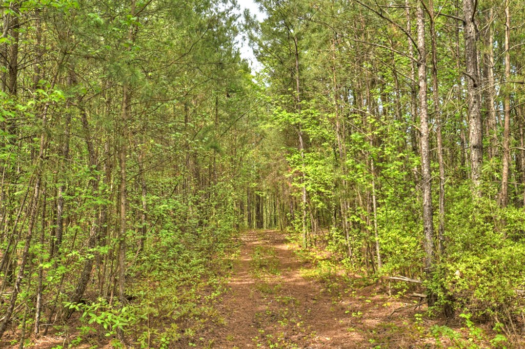 84.37 AC Bethel Road