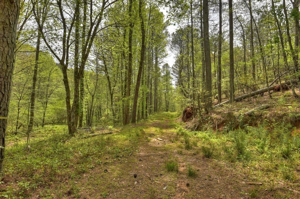 84.37 AC Bethel Road