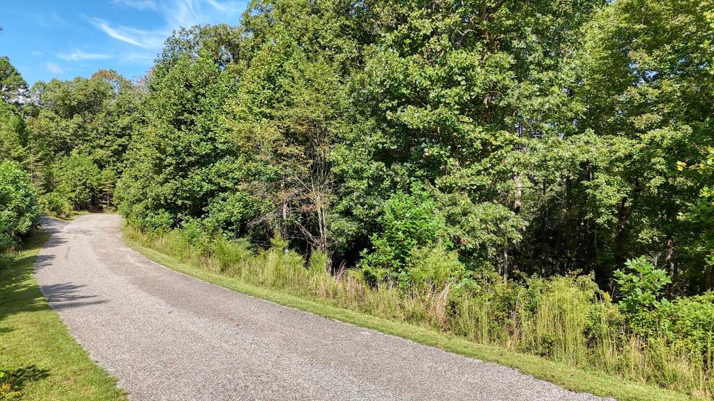 Lot 43 Coras View