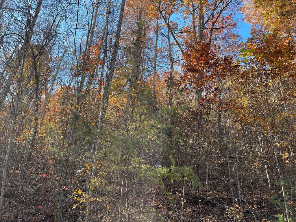 36 54C Ash Branch Circle