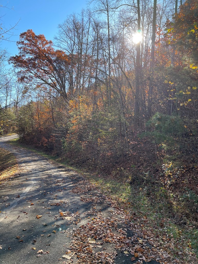 36 54C Ash Branch Circle