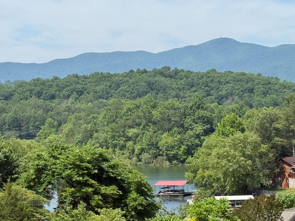 Tract 1 Montana Lane