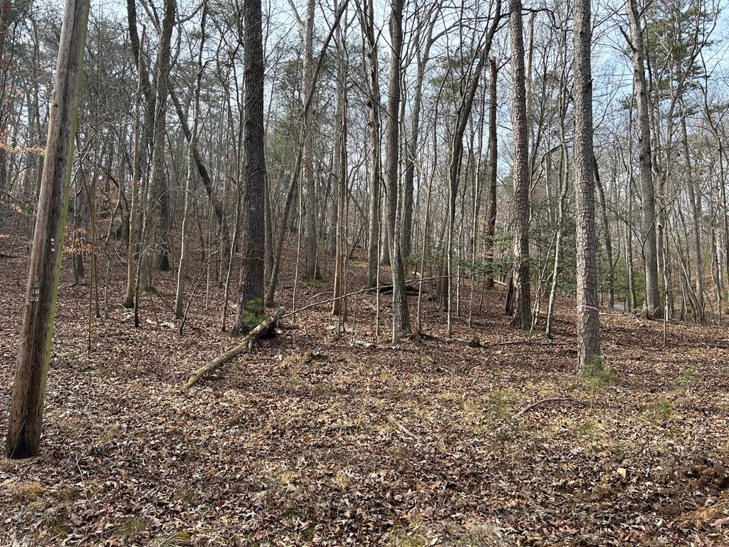 715/716 Hilary Court