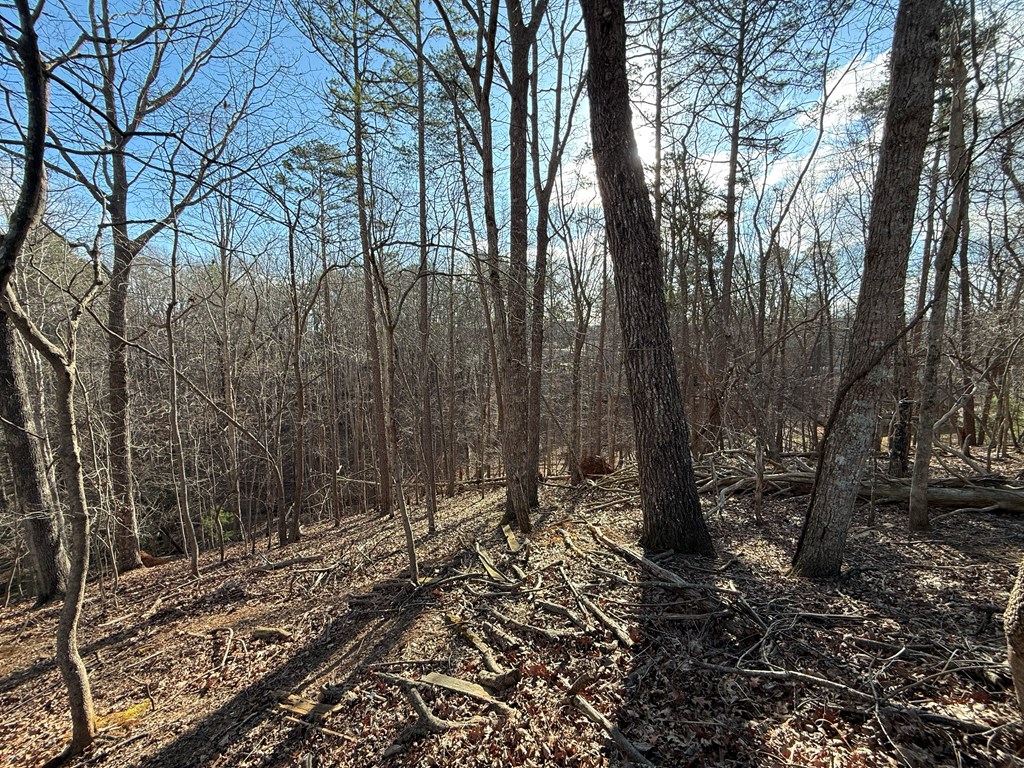 715/716 Hilary Court