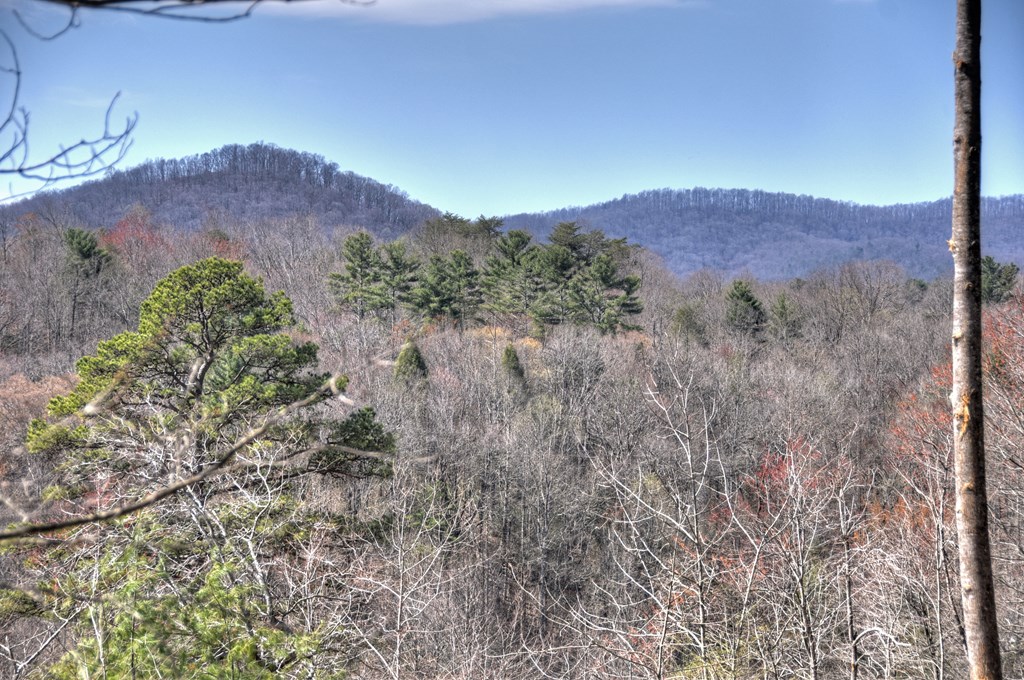 1204 Settlers Ridge Road