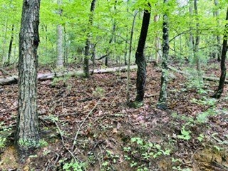 Lot 107 Pine Terrace Circle