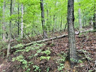 Lot 107 Pine Terrace Circle