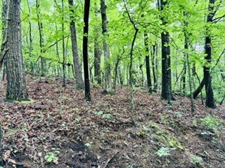Lot 107 Pine Terrace Circle