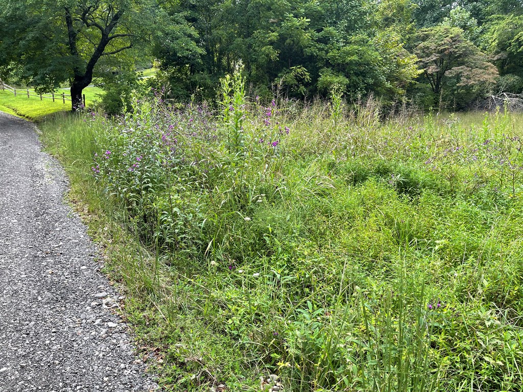 Lot 9 Sharons Valley Drive