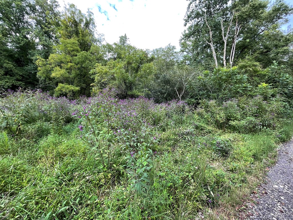 Lot 9 Sharons Valley Drive