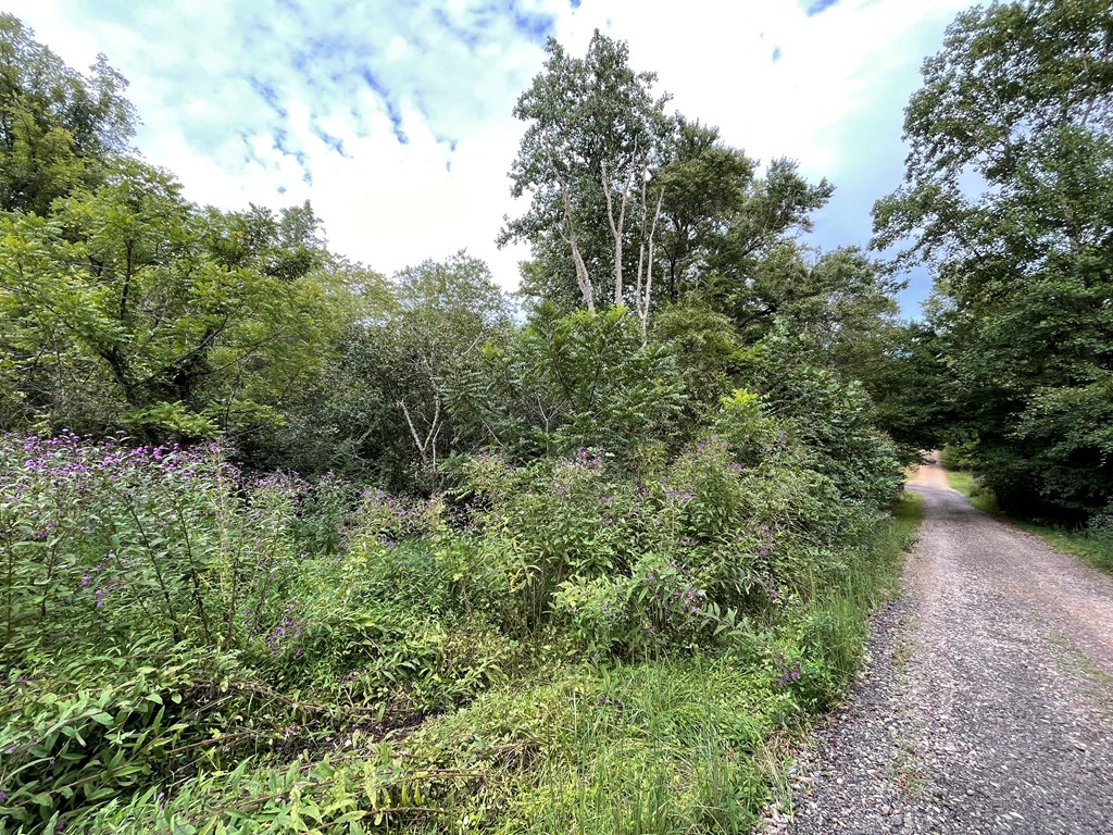 Lot 9 Sharons Valley Drive