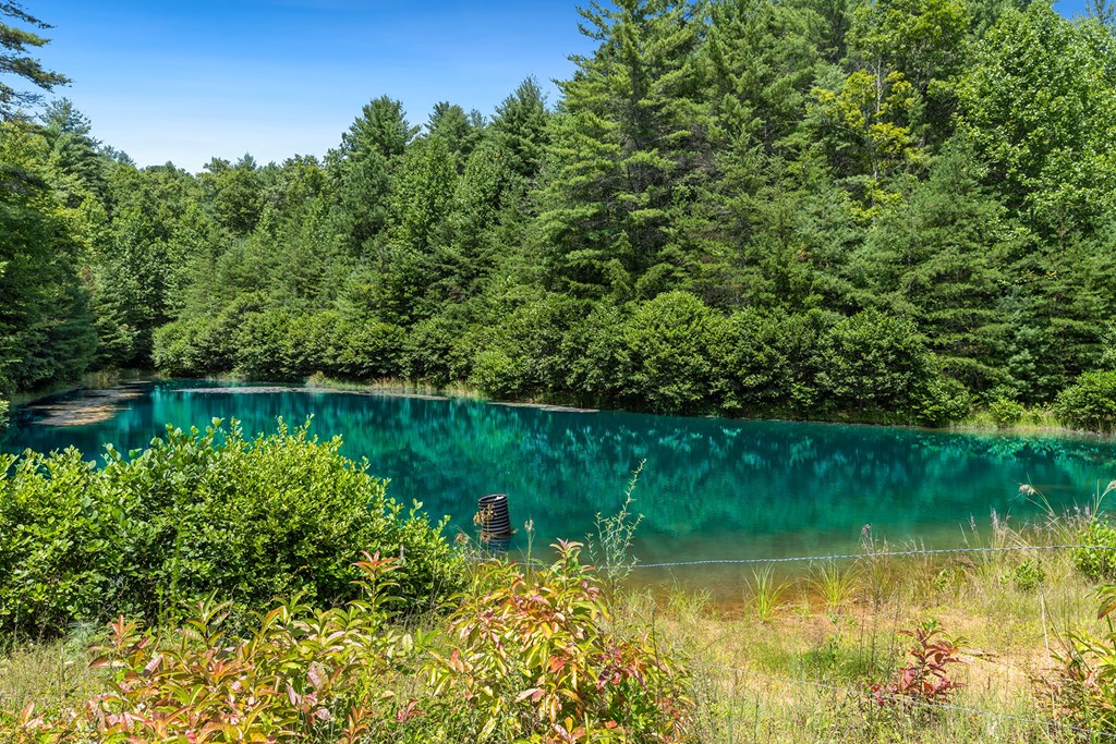 80 ACRE Shangri La Drive