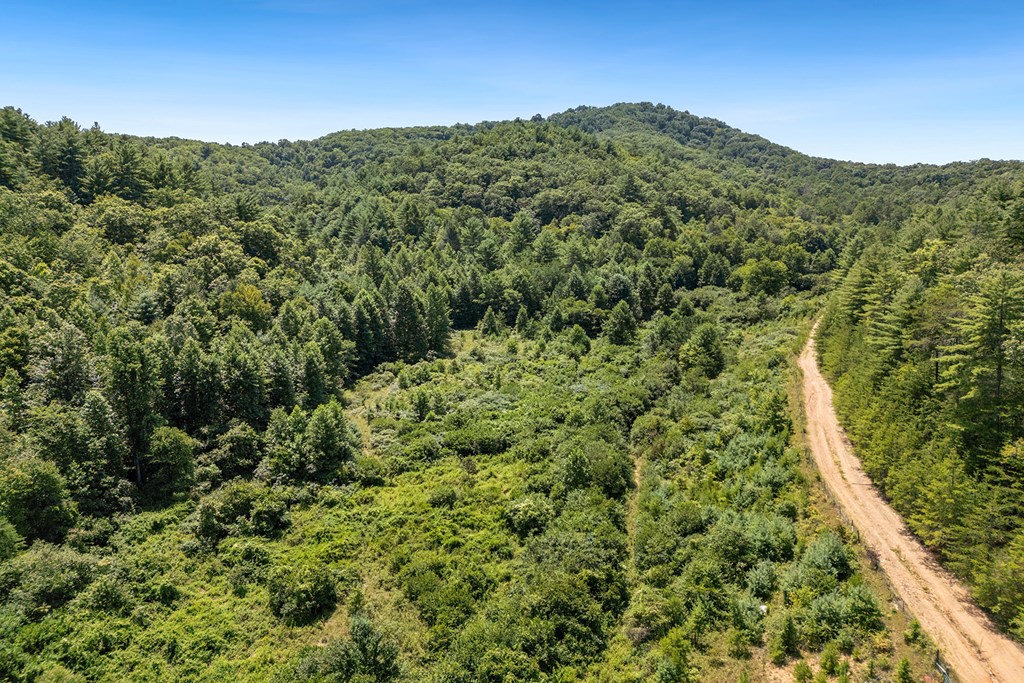 80 ACRE Shangri La Drive