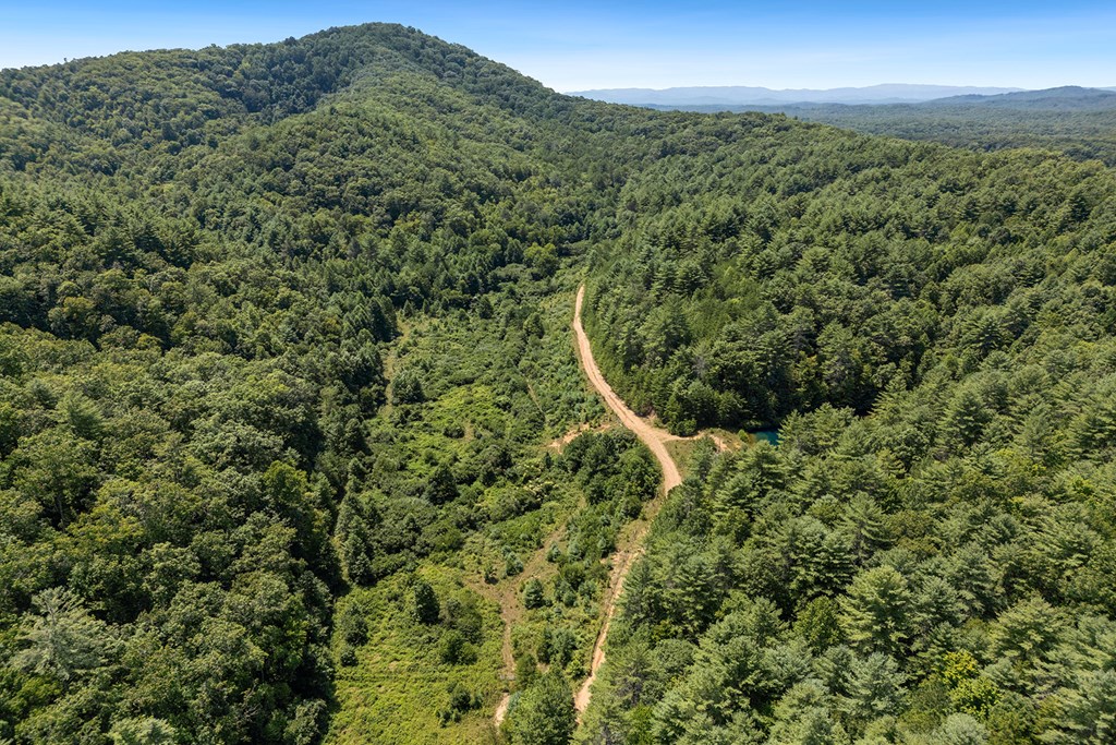 80 ACRE Shangri La Drive