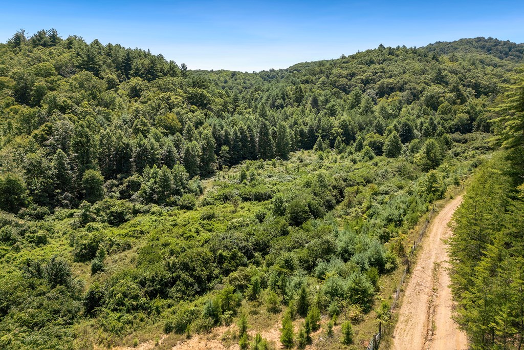80 ACRE Shangri La Drive