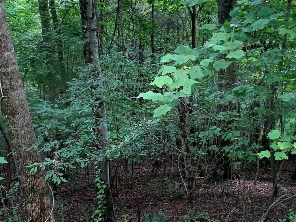 Lot 21 Tahlequah Ridge