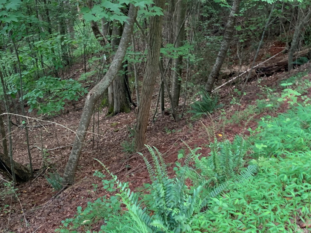 Lot 21 Tahlequah Ridge