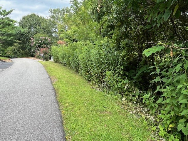 Lot 12 Forest View Drive