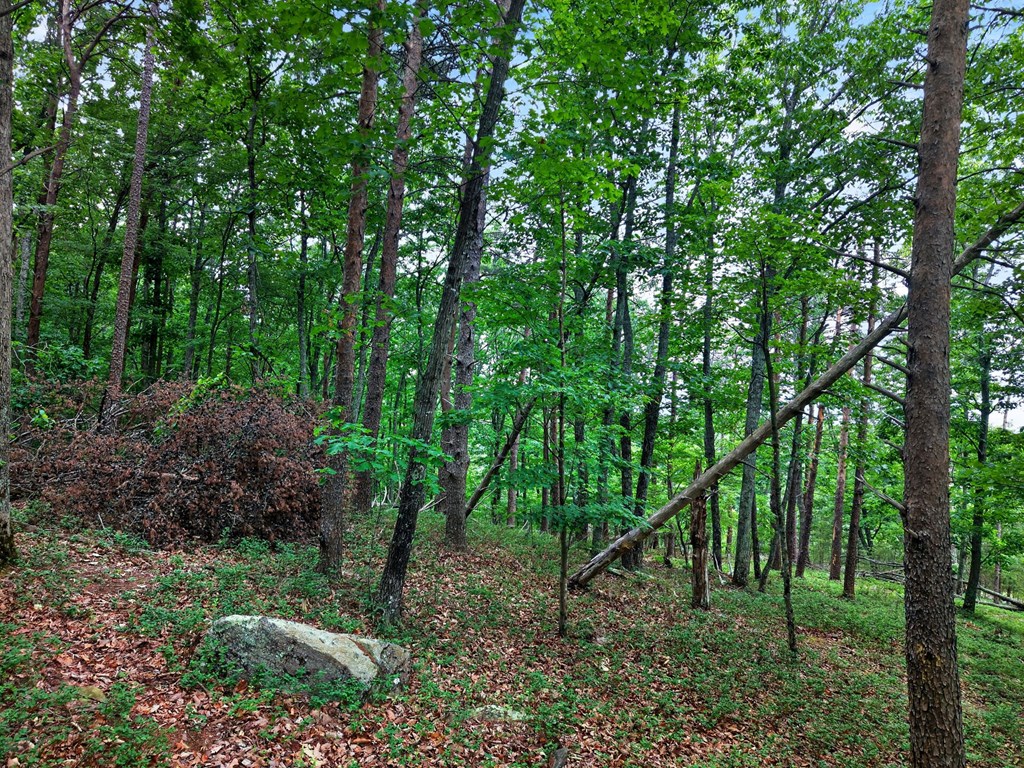 0 Ridgeside Court