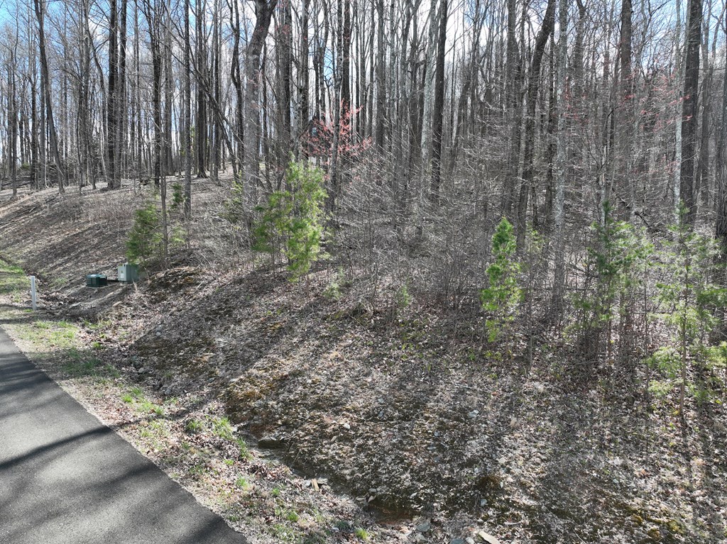 270r Stone Cliff Drive