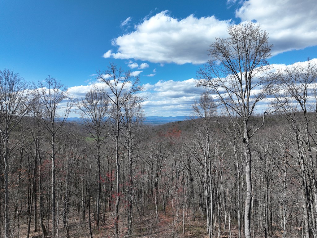 270r Stone Cliff Drive