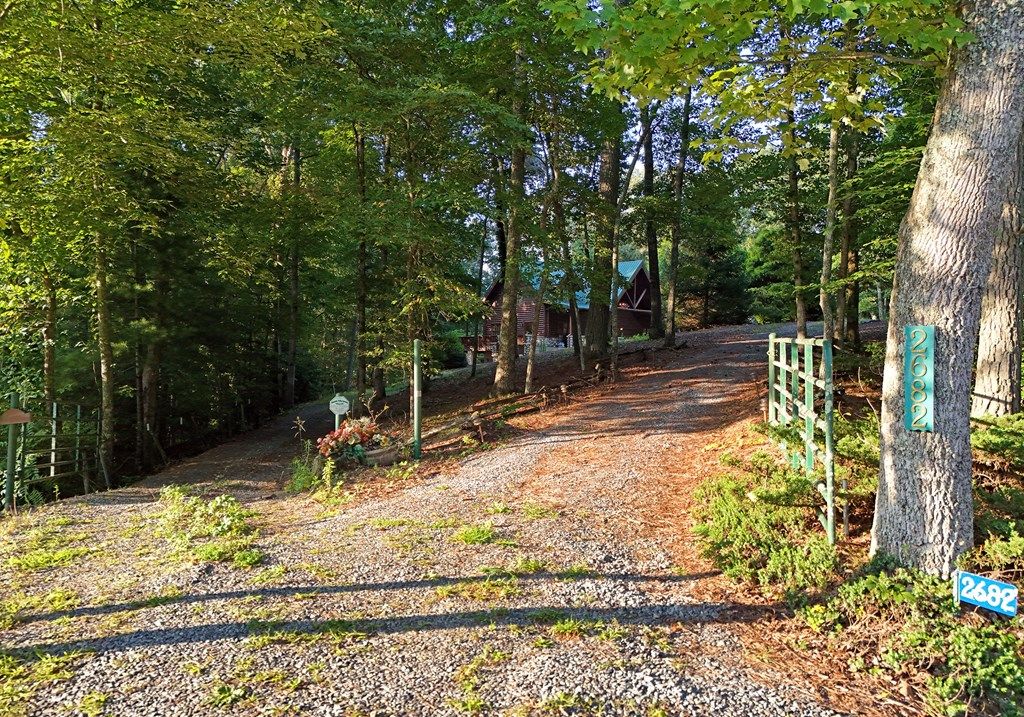 listing image 54