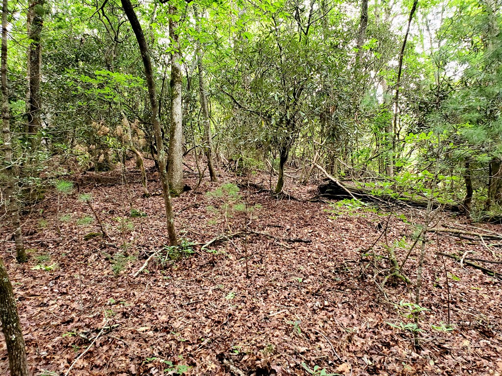 10.61 E Charlies Creek Road