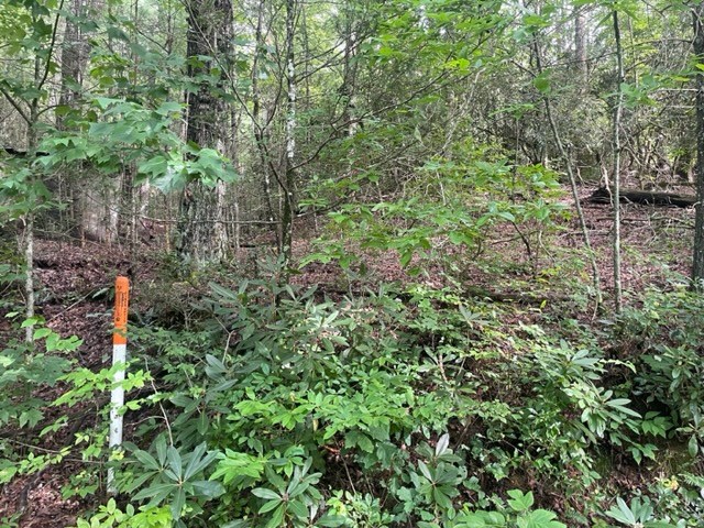 10.61 E Charlies Creek Road