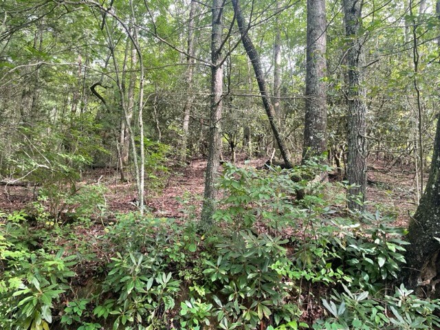 10.61 E Charlies Creek Road