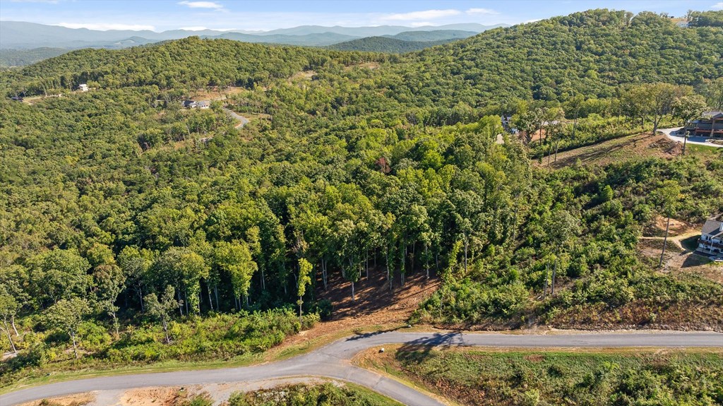 Lot 159 Gray Bluff Trail