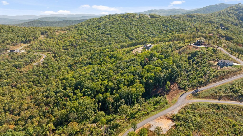 Lot 159 Gray Bluff Trail