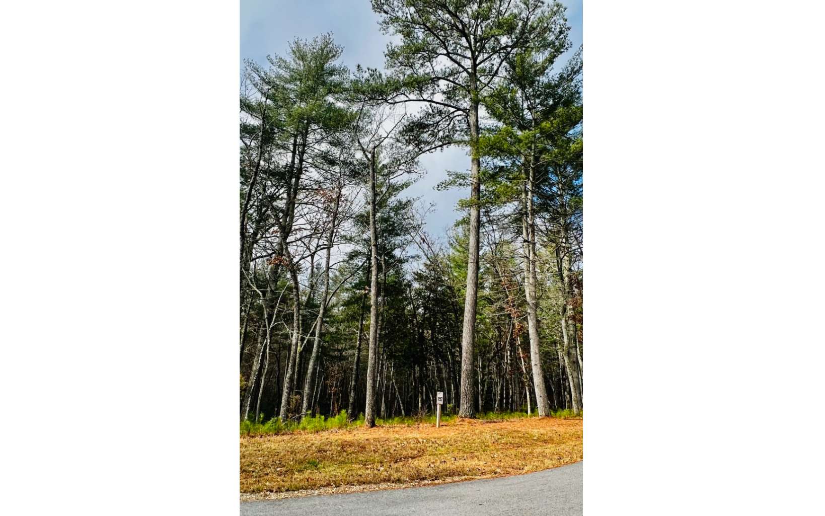 LT157 L157 Highland Park