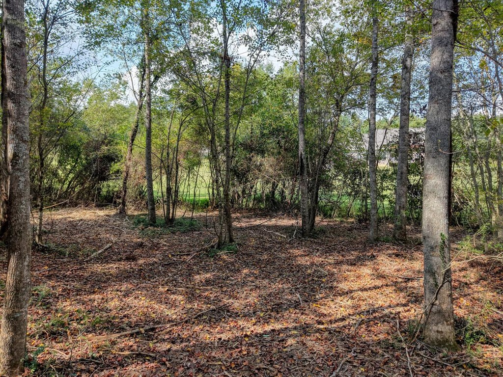 Lt39 Pleasant Meadows