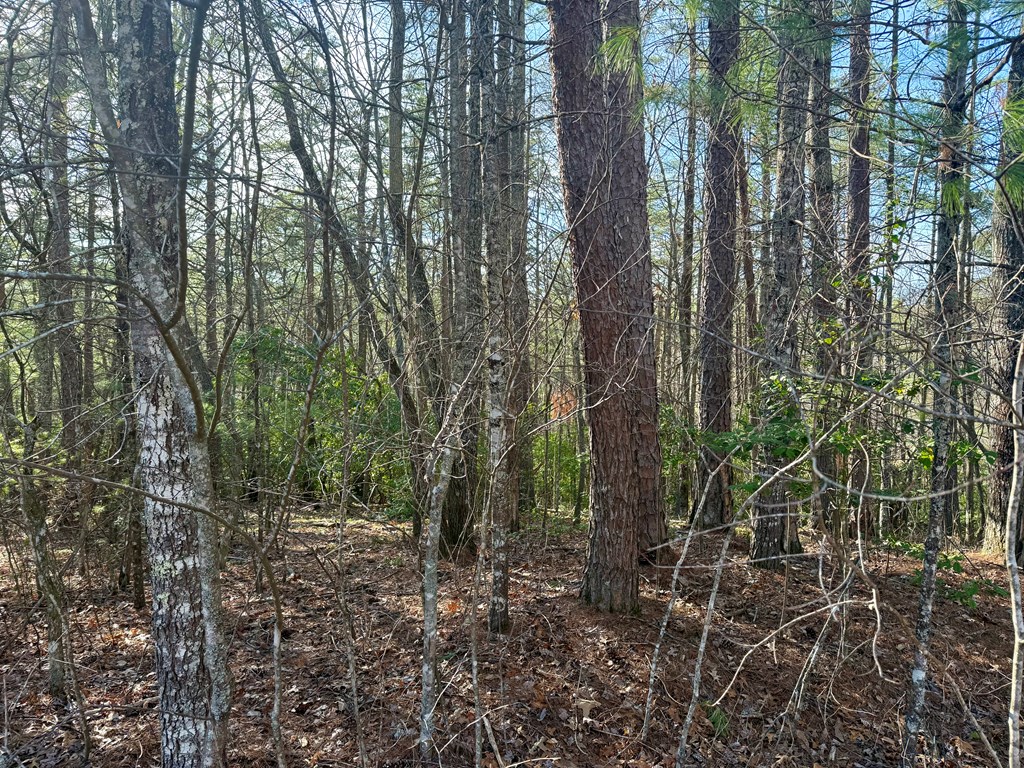 0 Shuler Mountain Road