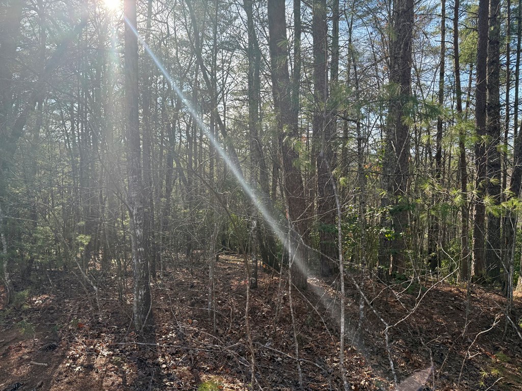 0 Shuler Mountain Road