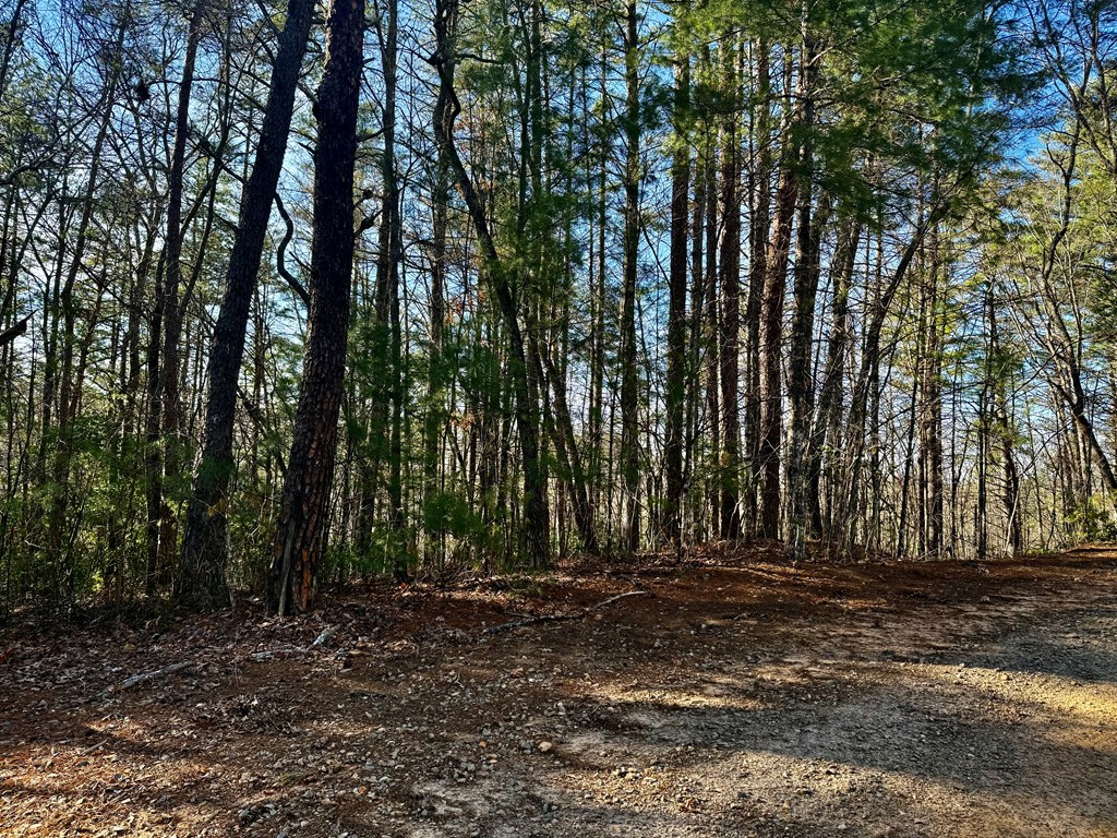 0 Shuler Mountain Road