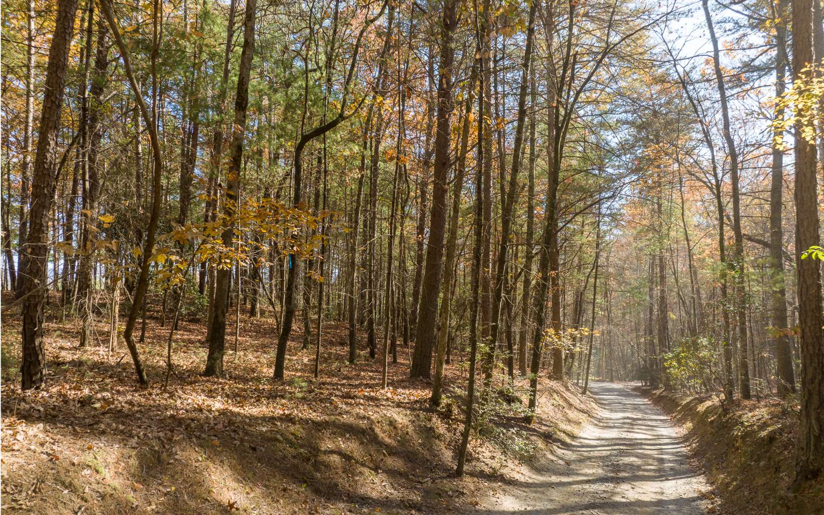 1 TR Old Anderson Creek