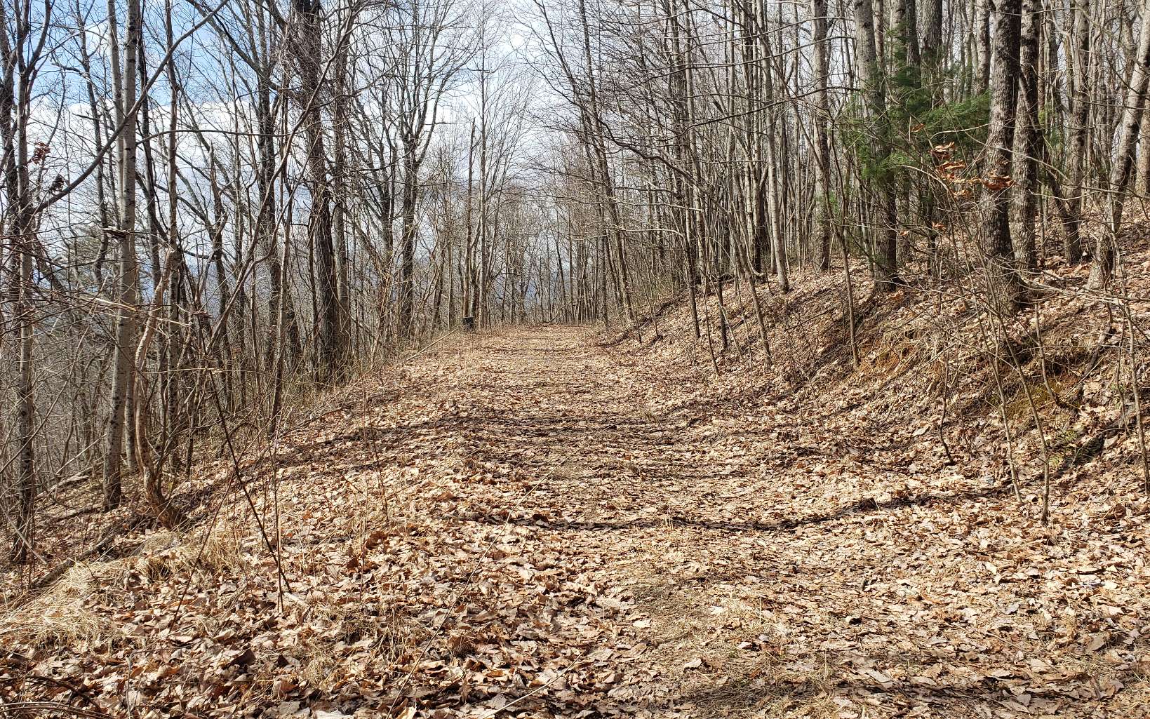 LT 35 Calvender Road